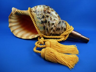 画像1: 龍神の法螺貝　
