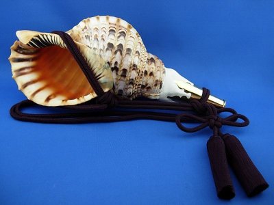 画像1: 修験法螺貝　雅　黄金の吹口