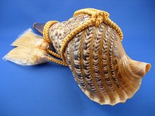 他の写真2: 龍神の法螺貝　