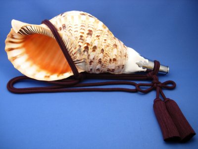画像1: 修験法螺貝　匠　（高級タイプ）
