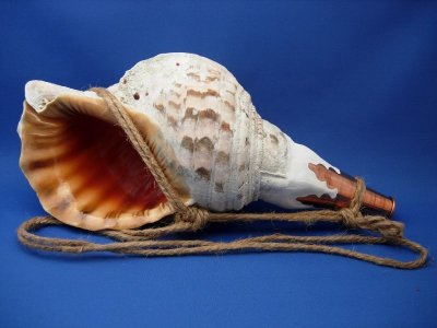 画像1: 修験法螺貝　クラッシック　麻