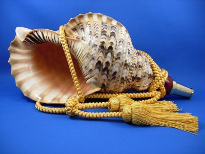 画像1: 源氏の法螺貝　