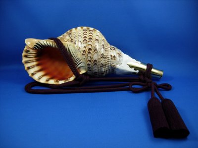 画像1: 修験法螺貝　雅　黄金の吹口