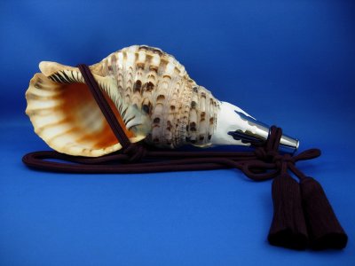 画像1: 修験法螺貝　匠　（高級タイプ）