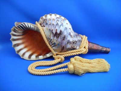画像1: 龍神の法螺貝　