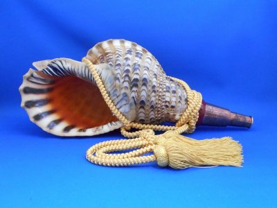 画像1: 龍神の法螺貝II