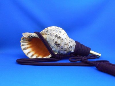 画像1: 戦国法螺貝　大名　黄金の法螺貝