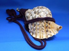 他の写真2: 戦国法螺貝　大名　黄金の法螺貝