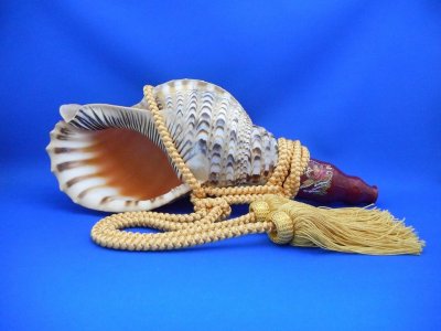 画像1: 新発売　戦国歌口木製法螺貝　鳳凰と龍神三体