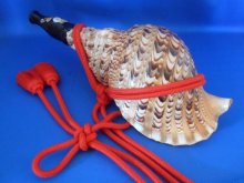 他の写真2: 新発売　修験歌口木製法螺貝 優璃（ユリ）　菊花