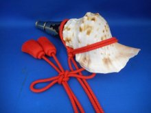 他の写真2: 新発売　山伏法螺貝II　ミニ　雅　最高級品　黄金の吹口