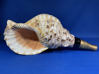 画像1: 新発売　戦国歌口木製法螺貝　黄金の吹口