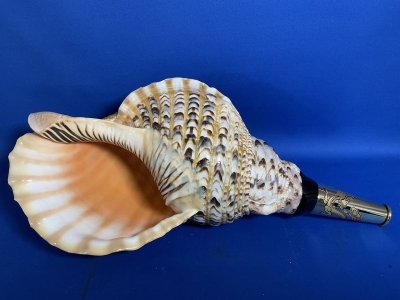 画像1: 戦国黄金　龍神の法螺貝