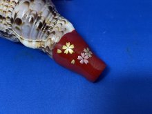 他の写真2: 戦国歌口木製法螺貝　桜吹雪　B級品