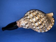 他の写真1: 幻の法螺貝誕生　最高級（真言タイプ）　歌口木製法螺貝　修験の響き　不動明王梵字入