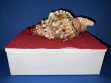 他の写真1: 新発売　戦国魔除け法螺貝ミニ　肩かけ紐付　桜吹雪　飾りボックス付き