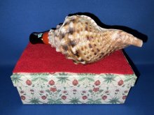 他の写真1: 最高級品　歌口木製法螺貝ミニ　飾りボックス付き　桔梗　