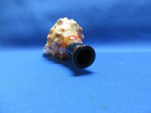 他の写真3: 歌口木製法螺貝出羽三山ミニ　不動明王梵字入　カエデ