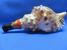 他の写真1: 歌口木製法螺貝出羽三山ミニ　不動明王梵字入　カエデ
