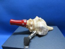 他の写真2: 新発売　魔除け超超ミニ法螺貝　桜吹雪首掛けストラップ付化粧箱入　赤　大きな音が出ます！