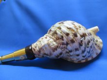 他の写真1: Ｎｅｗバージョン　山伏修験の法螺貝　黄金の吹口　菊