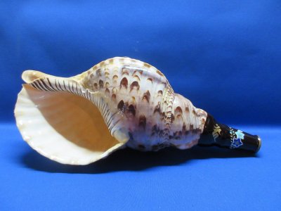 画像1: 新発売　戦国法螺貝　不動明王梵字入桔梗