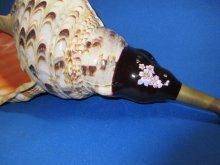 他の写真2: 戦国ホランペット　桜