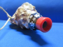 他の写真3: 新バージョン　祭りほら貝ミニ 　桜吹雪