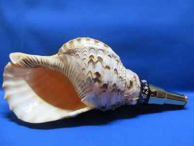 画像1: 戦国法螺貝　黄金の吹口　桜吹雪