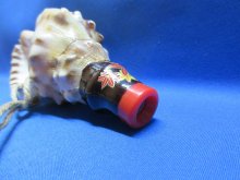 他の写真3: 新バージョン　祭りほら貝ミニ 　カエデ