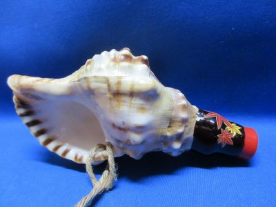 画像1: 新バージョン　祭りほら貝ミニ 　カエデ