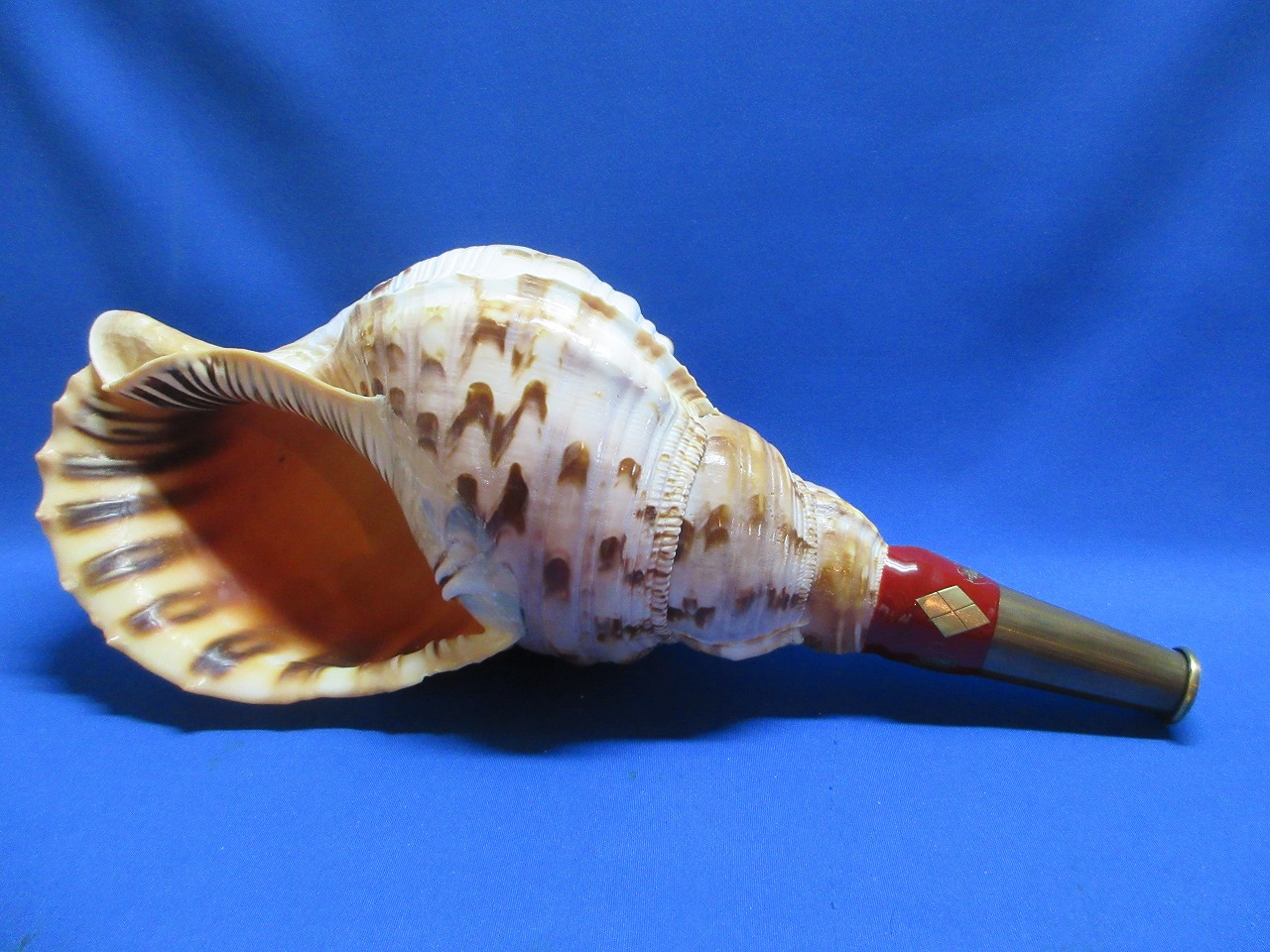 戦国赤備え法螺貝 武田信玄家紋入　ムカデ衆