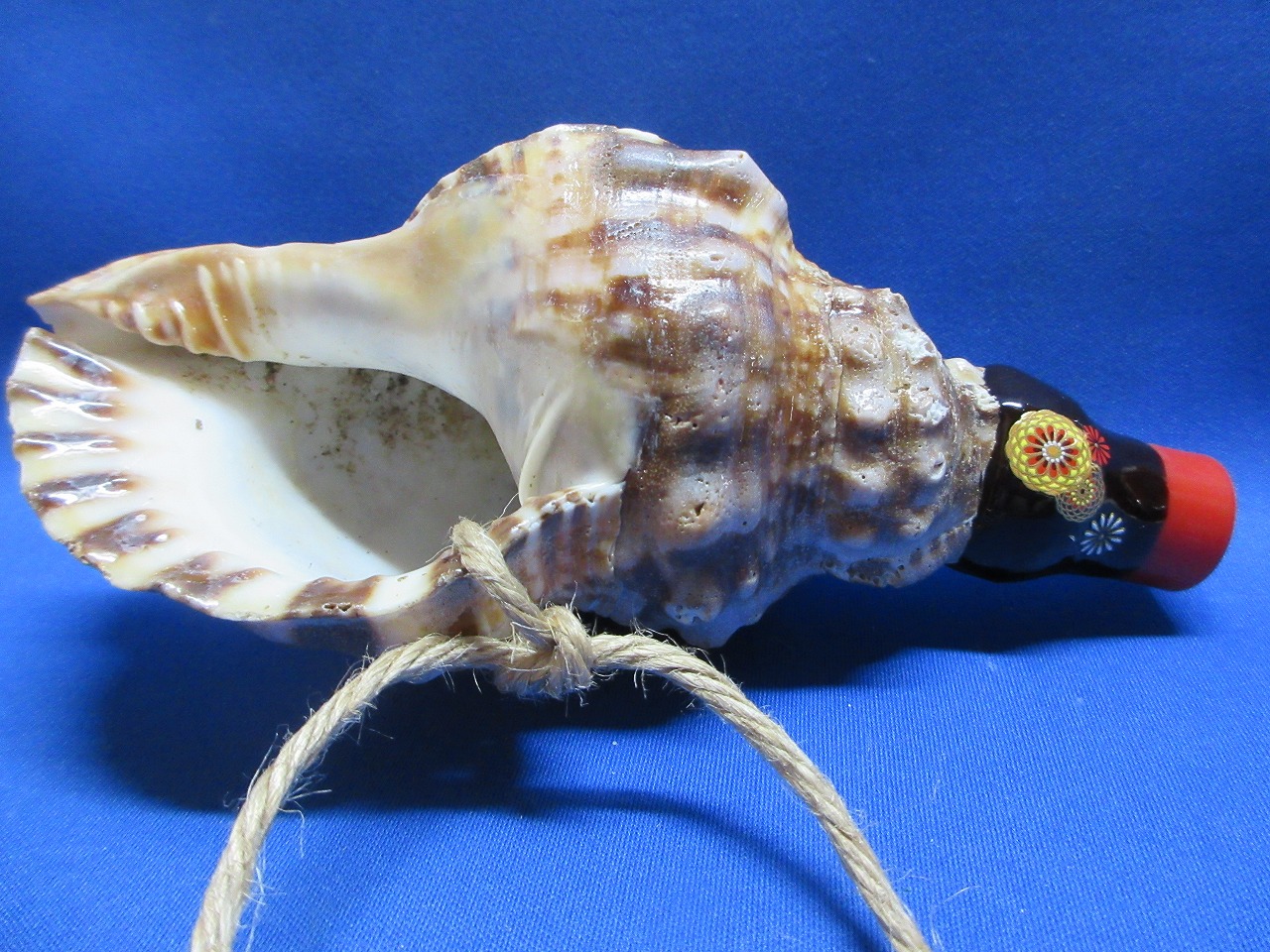 新バージョン　祭りほら貝ミニ 　花火