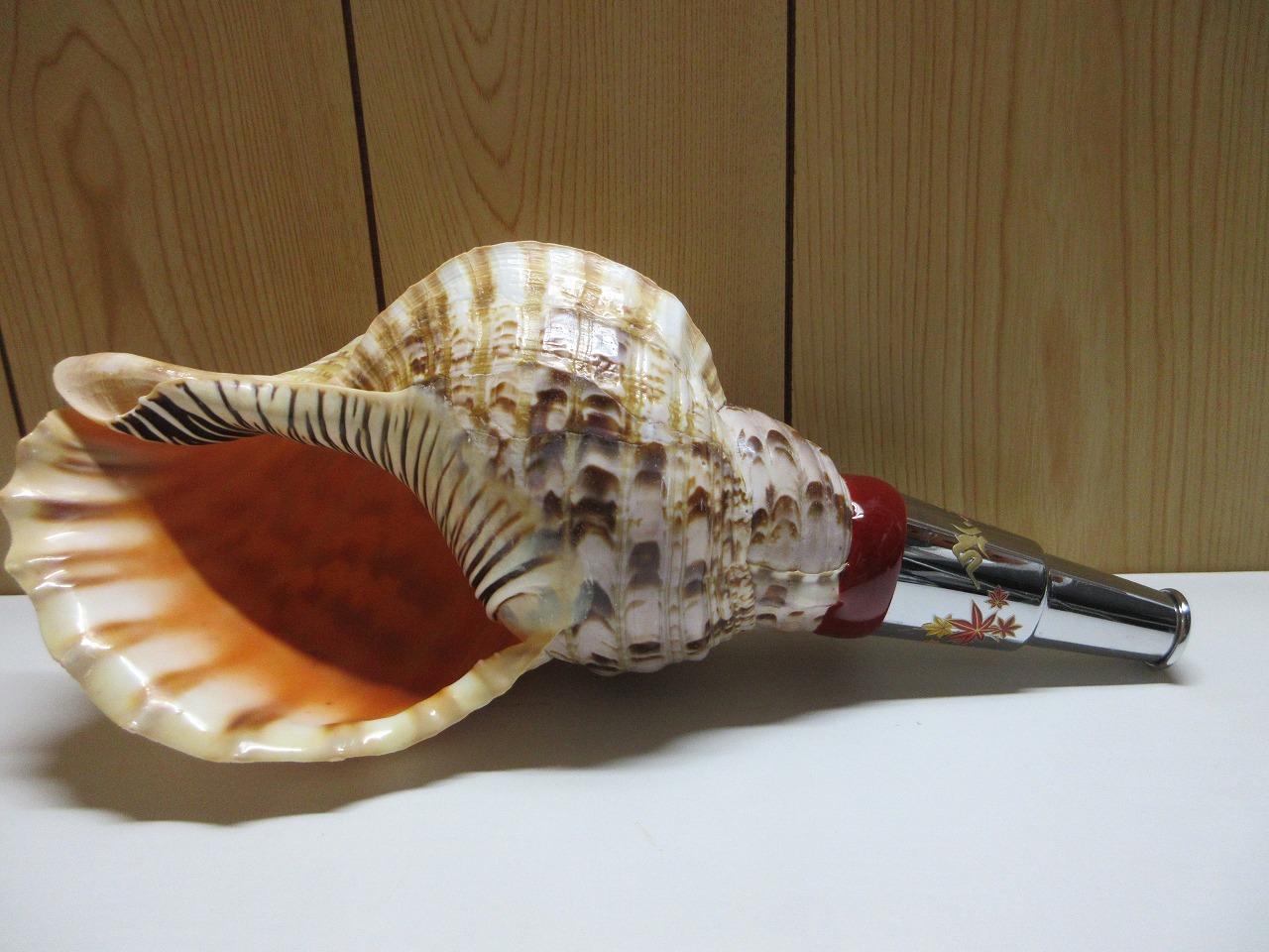 Ｎｅｗバージョン　山伏修験法螺貝　匠　不動明王梵字入　カエデ