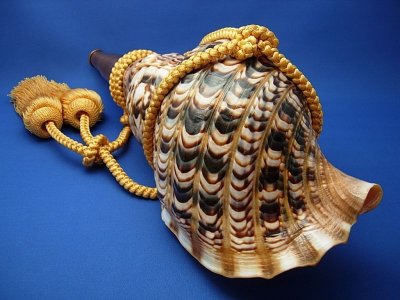 画像2: 龍神の法螺貝　