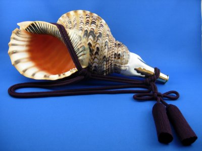 画像2: 修験法螺貝　雅　黄金の吹口