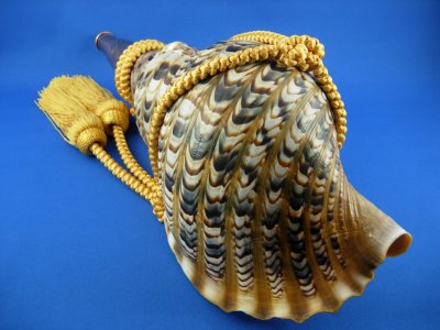 画像2: 龍神の法螺貝　