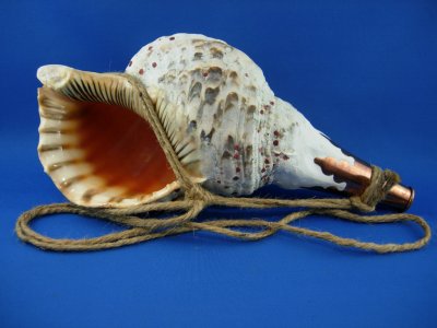 画像2: 修験法螺貝　クラッシック　麻