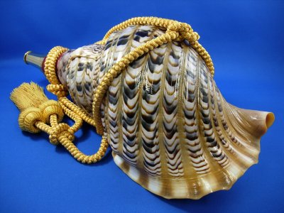 画像2: 源氏の法螺貝　