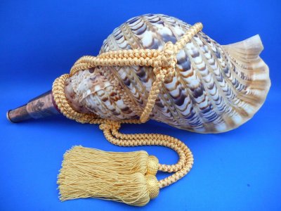 画像1: 龍神の法螺貝II