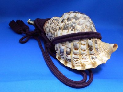 画像2: 戦国法螺貝　大名　黄金の法螺貝