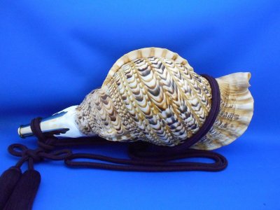 画像1: 修験法螺貝II　雅　黄金の吹口