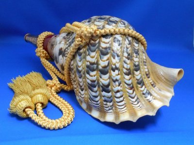 画像2: 龍神の法螺貝II