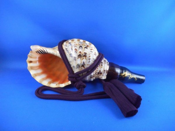 画像1: 新発売　修験歌口木製 龍神の法螺貝　 (1)