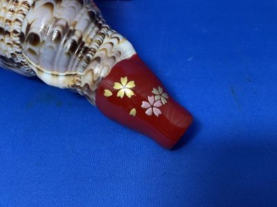 画像2: 戦国歌口木製法螺貝　桜吹雪　B級品