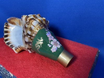 画像1: 最高級品　歌口木製法螺貝ミニ　京都桜　不動明王　梵字入　黄金の吹口　飾りボックス付き