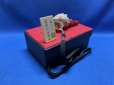 画像2: 日本初！音の出る　魔除け超ミニ法螺貝　飾りボックス付き