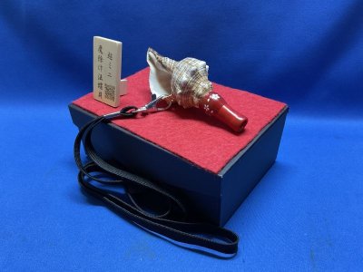 画像1: 日本初！音の出る　魔除け超ミニ法螺貝　飾りボックス付き