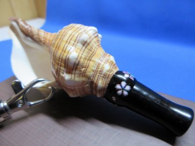 画像1: 超ミニほら貝ストラップ付ケース付き　大きな音が出ます！