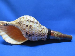法螺貝　ほらがい　和楽器 楽天市場】 鳴り物 > 法螺貝 : 和楽器総合販売 ONIKKO 楽天市場店